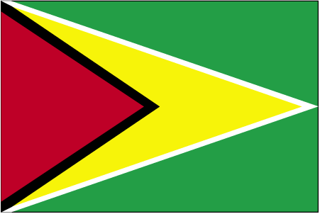 http://www.mipueblonatal.com/images/guyana-flag.gif
