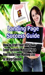 landing page success guide