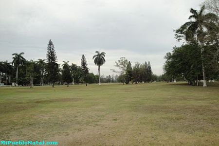 Imagenes De La Lima