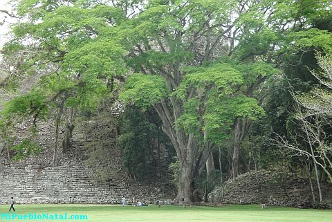 Departamento de copan