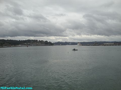 Newport Bay
