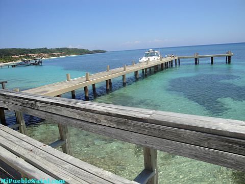 roatan living