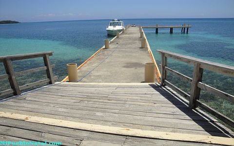 roatan blogs