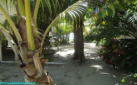 roatan jobs