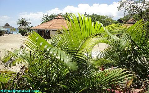 roatan restaurant