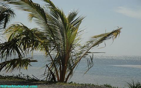 Punta Gorda Roatan