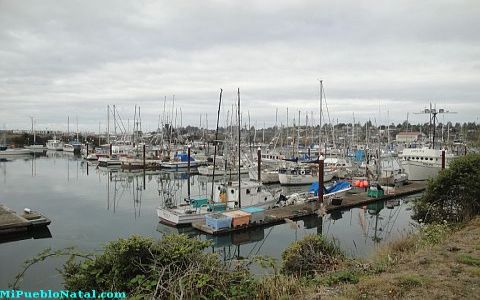 Brookins Harbor