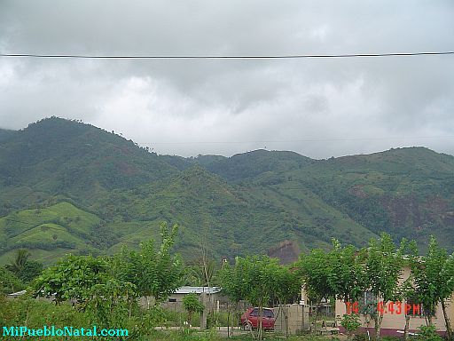 Colon Honduras