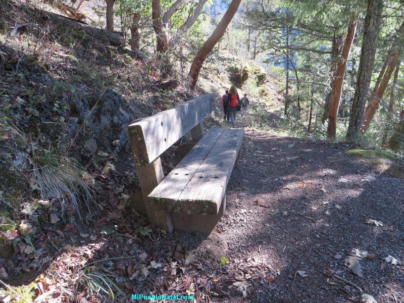 A beautiful bench