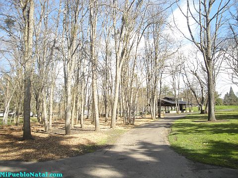 Bear Creek Park