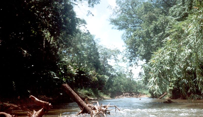 Biosfera Rio Platano