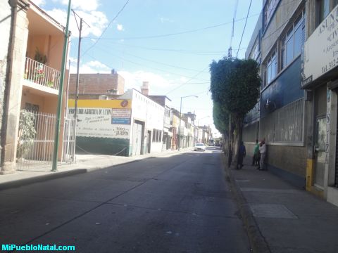 Calle de Leo