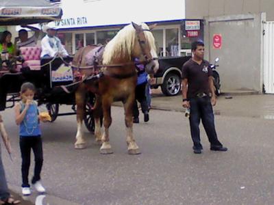 Carnaval del banano en Olanchito