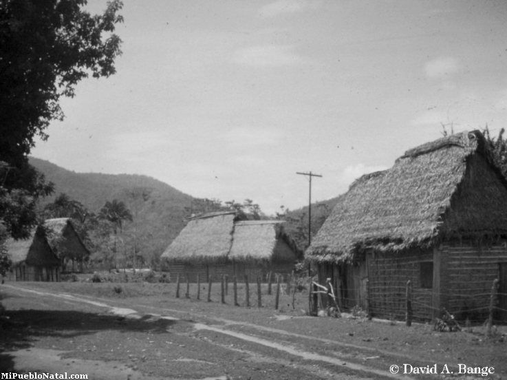 Historia de Tocoa