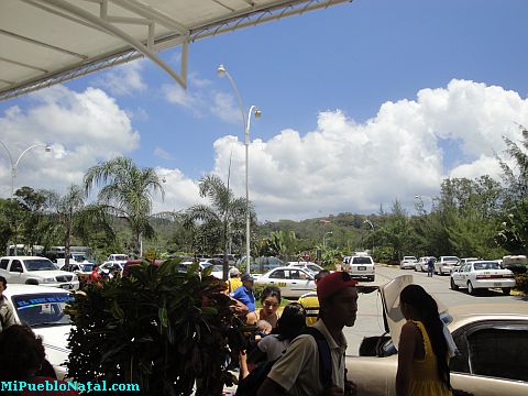 ferry from la ceiba to roatan