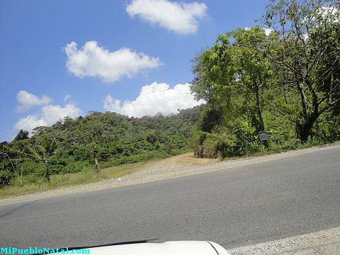 ferry from la ceiba