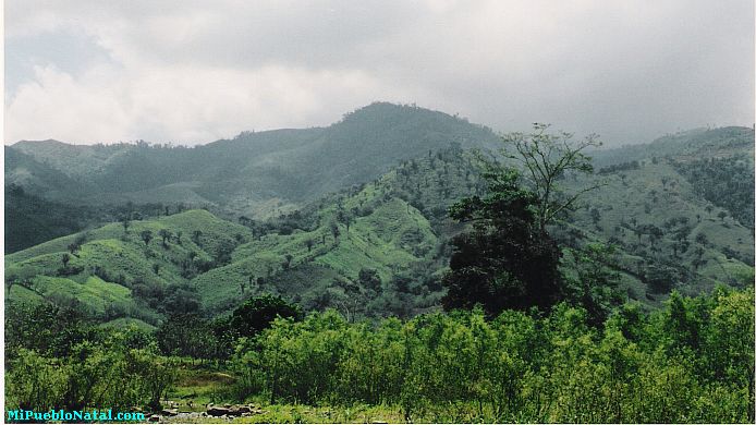 El Cerro