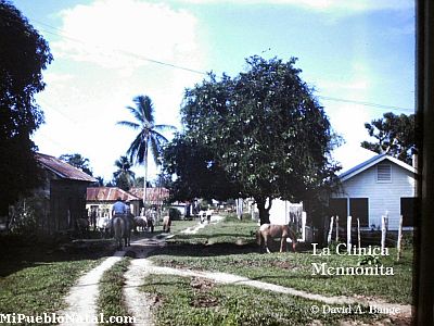 El Cabildo 1961