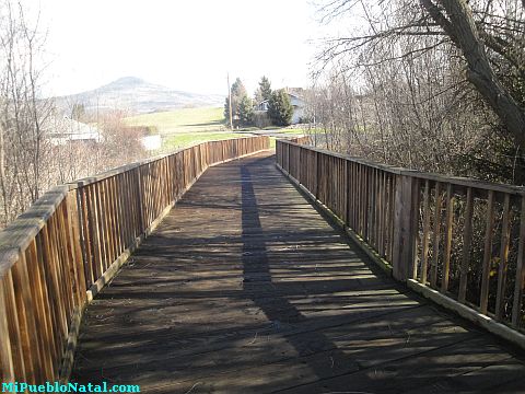 Donahue Frohnmayer Park