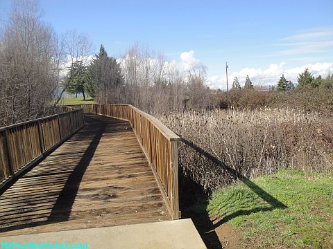 Donahue Frohnmayer Park