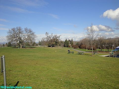 Donahue Frohnmayer Park