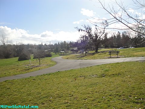 Donahue Frohnmayer Park