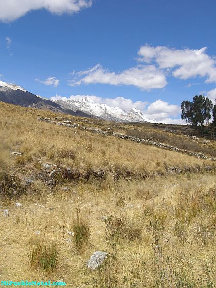 Donde Esta Peru