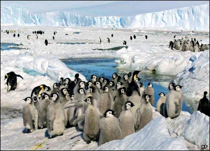 Facts About Antartica