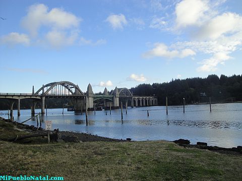 Florence Bridge