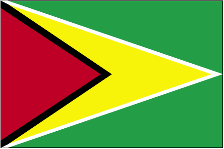 Bandera de Guyana