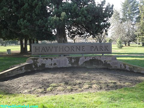 Hawthorne Park