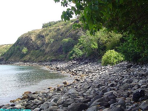 Honolua Bay