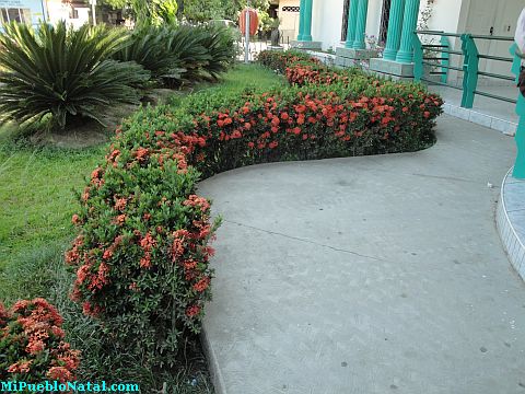 Jardin del Cabildo