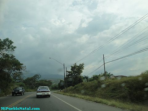 La ceiba