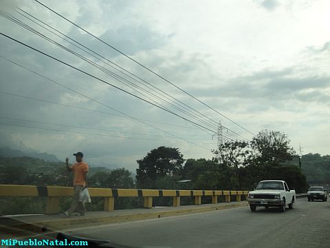 La ceiba