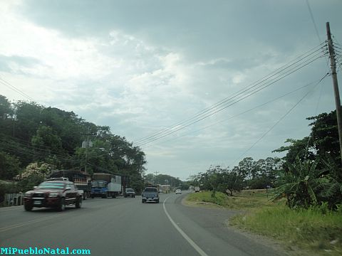 La ceiba