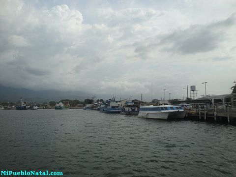 La ceiba