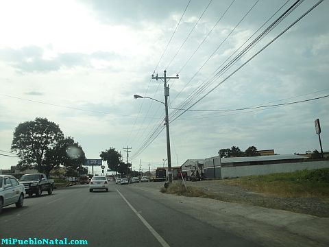 La ceiba