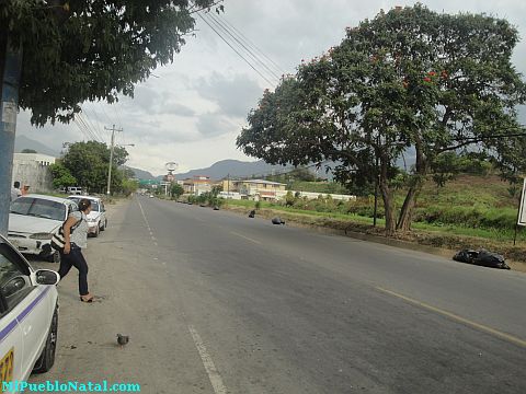 La ceiba