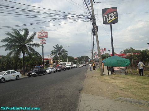 La ceiba atlantida