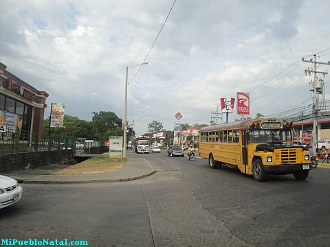 La ceiba