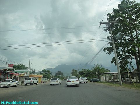 La ceiba