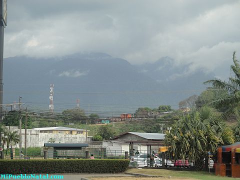 Ceiba