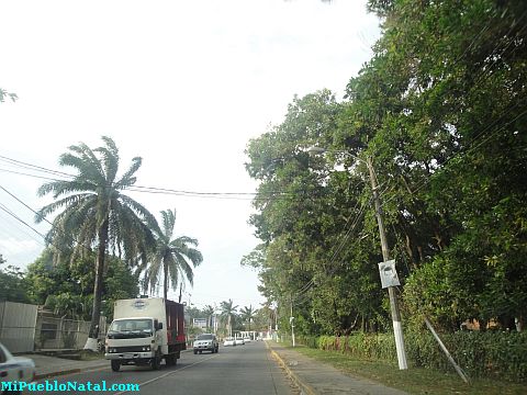 La ceiba