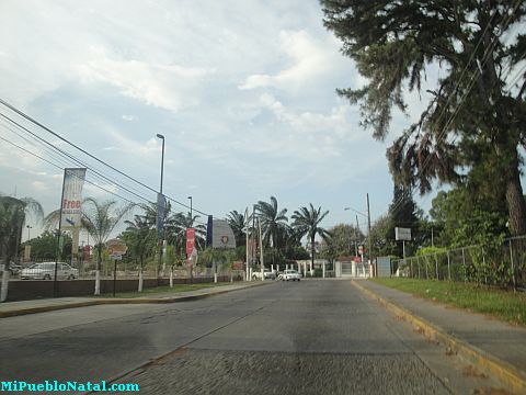 La ceiba