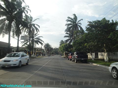 La ceiba