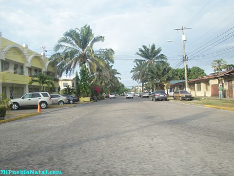 La ceiba