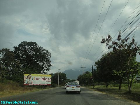 La ceiba