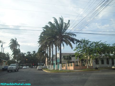 La ceiba