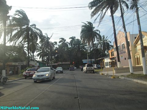 La ceiba